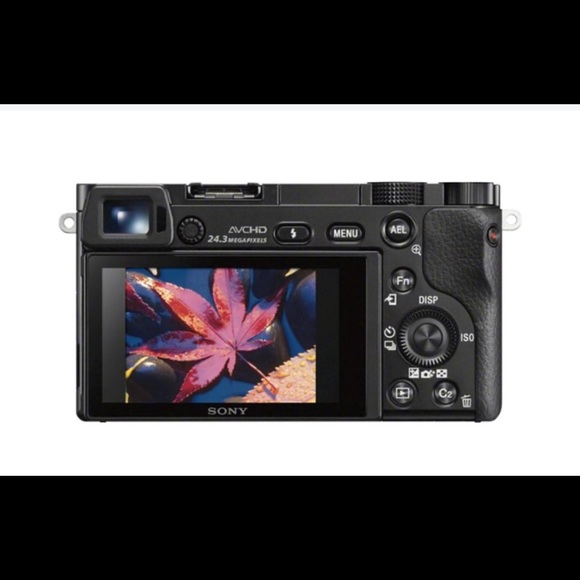 Sony Alpha a6000 Mirrorless Camera Photography - Picture 12 of 16